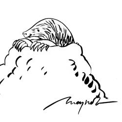 La Taupinière