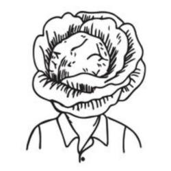 La Tête De Chou
