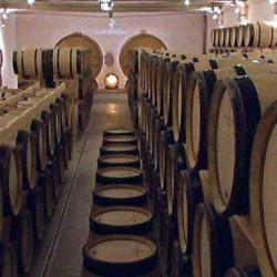 La Tonnellerie Artisanale De Champagne
