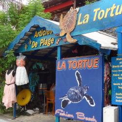 La Tortue