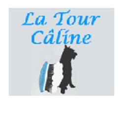 La Tour Câline