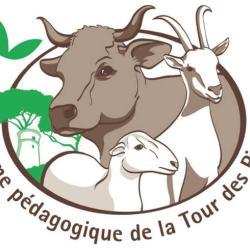 La Tour Des Pins