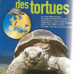 La Vallée Des Tortues