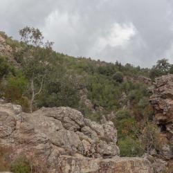 La Vallée Du Prunelli