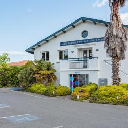 Laboratoire D'analyses Médicales - Anglet 8 Mai - Cerballiance