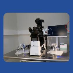 Laboratoire De Biologie Médicale - Belleville Pyrénées - Cerballiance