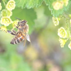 Lda39 Laboratoire Départemental D'analyses Du Jura