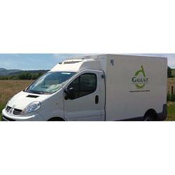 Galilait