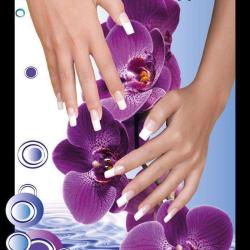 Laboratoires Vitys - Axess Nail System