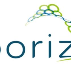 Laborizon