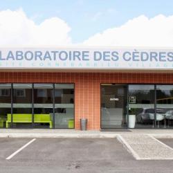 Labosud