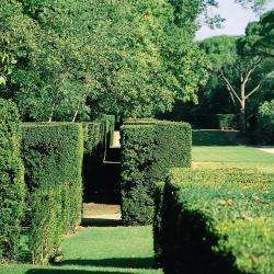 Labyrinthe De Merville