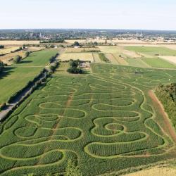 Labyrinthe En Délire