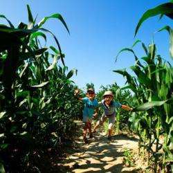 Labyrinthe Gant Le Jardin D'ariane