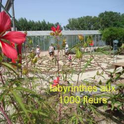 Labyrinthes Aux 1000 Fleurs