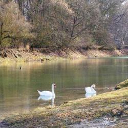 Lac D'orient