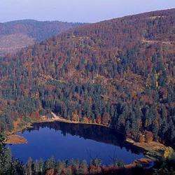 Lac De Blanchemer