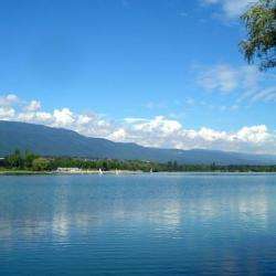 Lac De Divonne