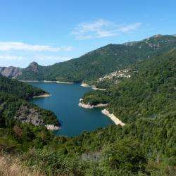 Lac De Tolla