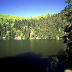 Lac Vert