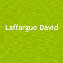 Laffargue David