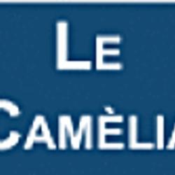 Le Camélia