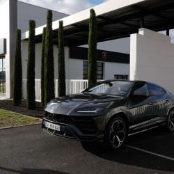 Lamborghini Bordeaux