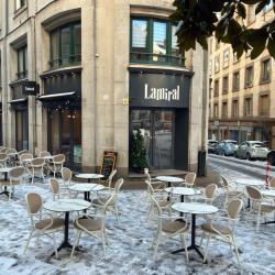 Lamiral