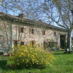 Lamothe