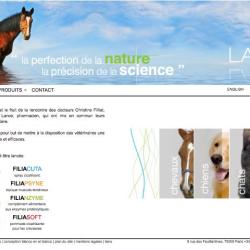 Lance Medical
