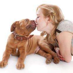 Langage Canin