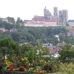 Laon