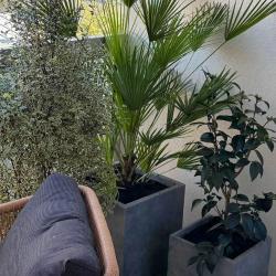 L'atelier Mon Balcon Parisien