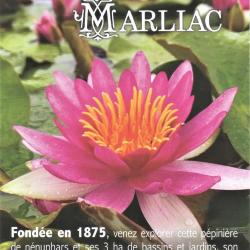 Latour-marliac Le Jardin Des Nenuphars