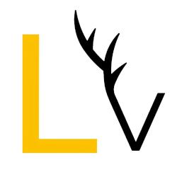 Laura Vergne Photographe Mariage