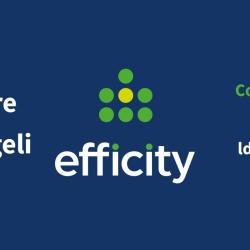 Laure D'angeli Efficity - Agent Immobilier Juvignac Saint Georges D'orques