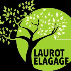 Laurot, élagage Pro Dans Le 77