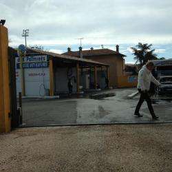 Lavage Des Palmiers