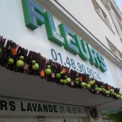 Lavande Fleurs