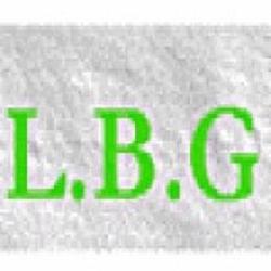 L.b.g Peinture