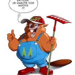 Lcdp Le Castor Des Pins