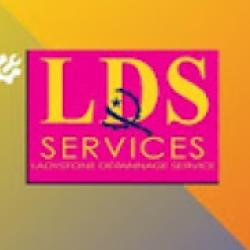 Lds Dépannage