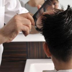 Le Barbier De Bercy