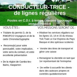 Le Basque Bondissant