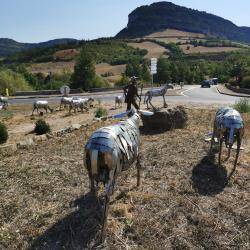 Le Berger Et Ses Moutons By André Debru
