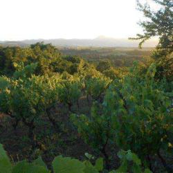 Le Bistrot Du Vigneron