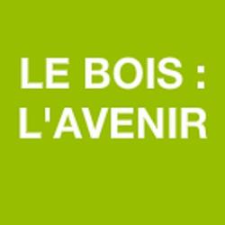 Le Bois : L'avenir