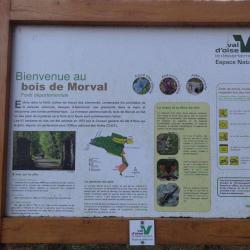 Le Bois De Morval