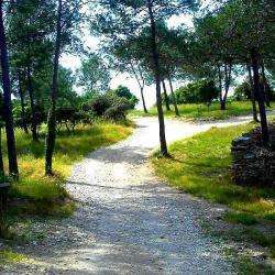 Le Bois Des Espeisses