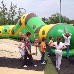 Le Bois Des Lutins